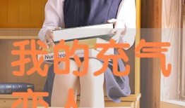 国产果贷视频免费观看,免费观看，揭秘农业贷款新篇章