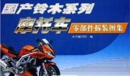 国产摩托拆车视频播放,性能解析与拆解过程全记录