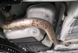 国产车铁皮为何生锈呢视频,揭秘国产车铁皮生锈之谜